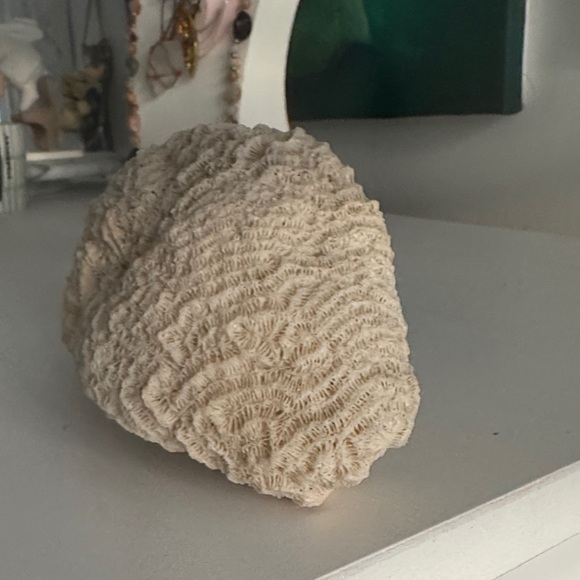 Natural Cream Coral Sculpture - Picture 2 of 6